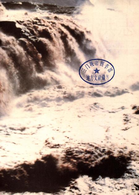 黄河防洪志.pdf电子版_河南省志插图2