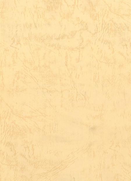 资阳地区年鉴：1998-2000.pdf电子版_四川省志插图2