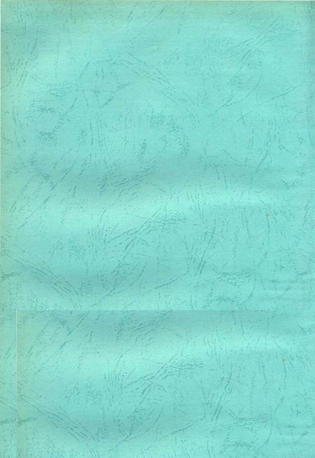 中共郴州市委执政纪事2006.pdf电子版_湖南省志插图2