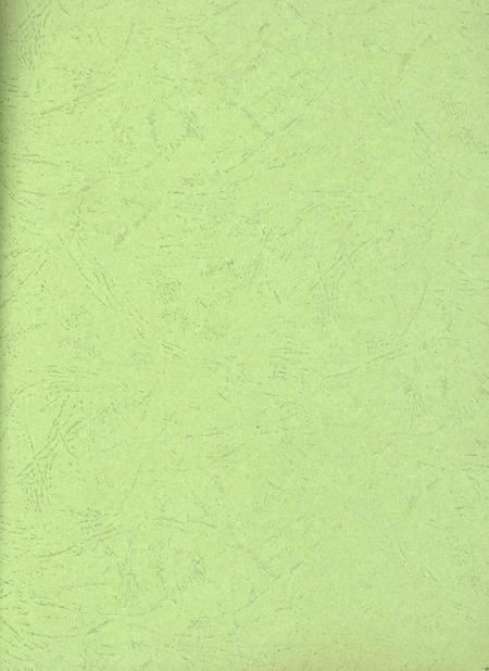 九江年鉴.2008.pdf电子版_江西省志插图2