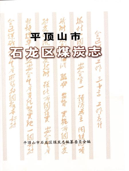 平顶山市石龙区煤炭志.pdf电子版_河南省志插图2