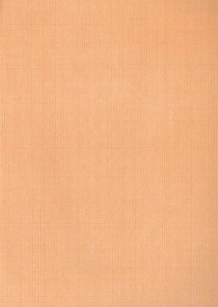 新晃侗族自治县人口和计划生育志.pdf电子版_湖南省志插图2