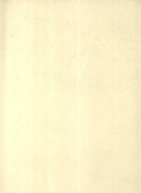 郴州年鉴2008.pdf电子版_湖南省志插图2