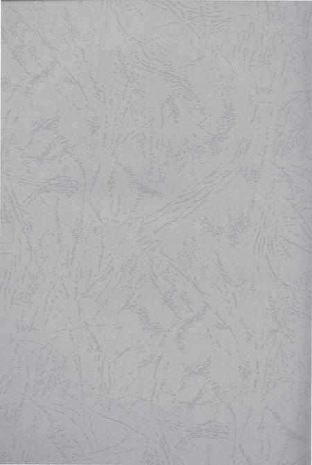 驰骋四海资兴人.pdf电子版_湖南省志插图2