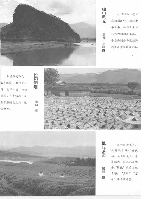 1986-浙江省松阳县土壤志.pdf电子版_浙江省志插图2
