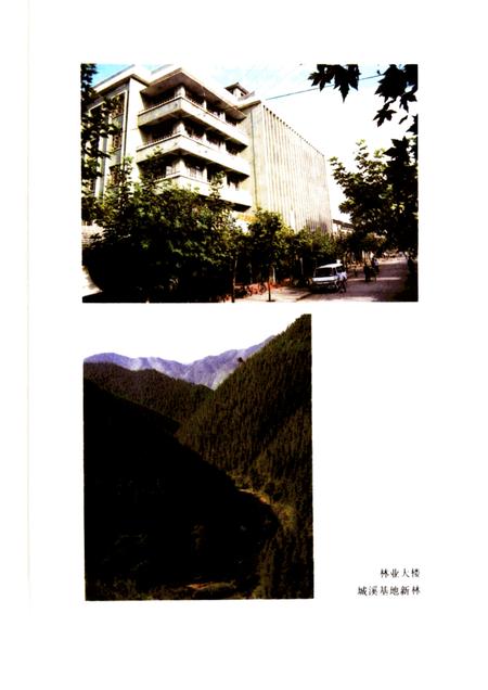 1988-开化林业志.pdf电子版_浙江省志插图2