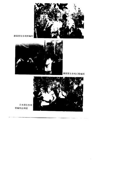 1997-衢州柑桔志.pdf电子版_浙江省志插图2