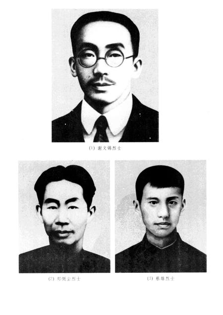 1998-中共温州独立支部与国民革命运动.pdf电子版_浙江省志插图2