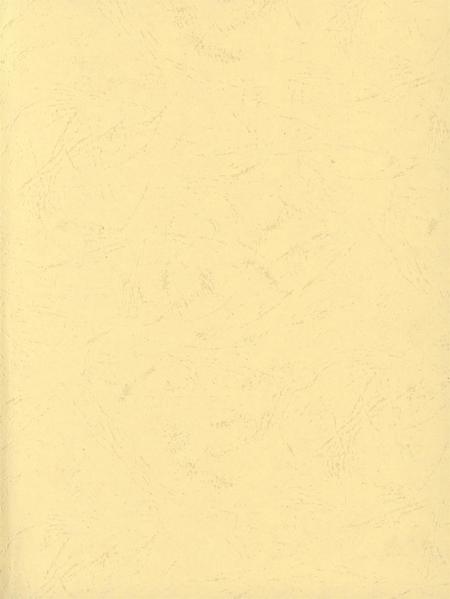 东兴市土地志.pdf电子版_广西壮族自治区志插图2