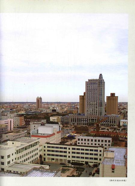 东营区年鉴2004.pdf电子版_山东省志插图2