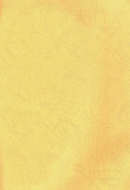 中共郴州市委执政纪事2016.pdf电子版_湖南省志插图2