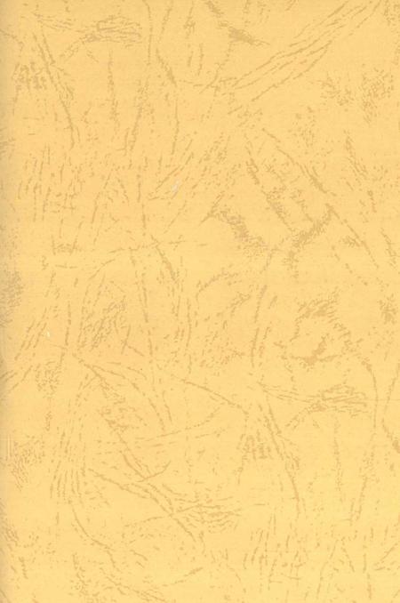 中国共产党安仁历史第一卷1921-1949.pdf电子版_湖南省志插图2