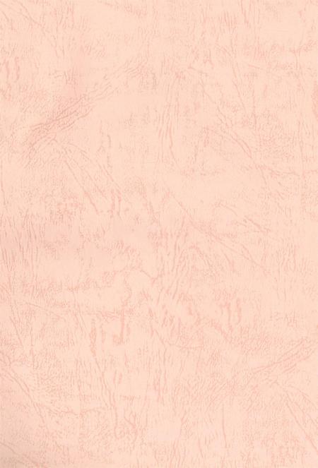 中国共产党湘潭历次代表大会资料简介.pdf电子版_湖南省志插图2