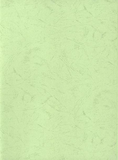 华龙年鉴2013.pdf电子版_四川省志插图3