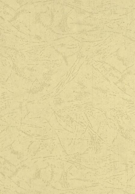 卫东年鉴2008.pdf电子版_河南省志插图3