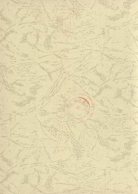 台前年鉴2008.pdf电子版_河南省志插图3