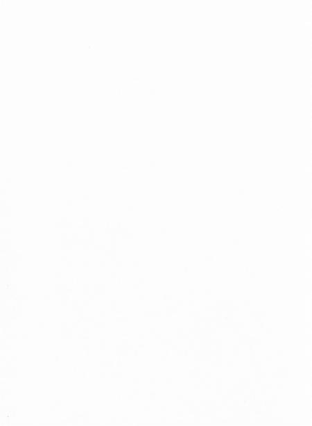 台前年鉴2016.pdf电子版_河南省志插图3