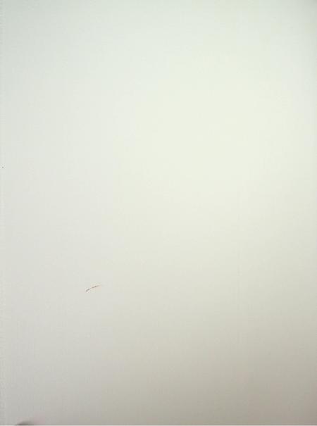 和龙年鉴（2021）.pdf电子版_吉林省志插图3