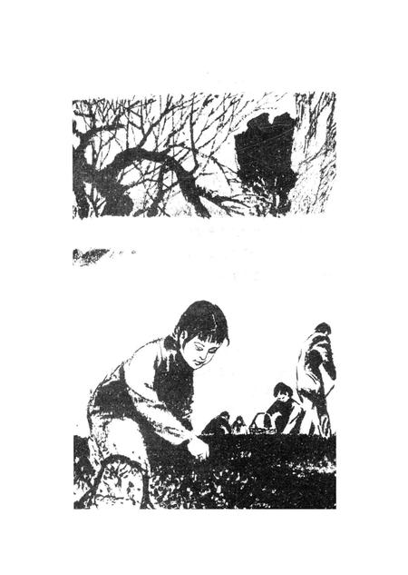 新疆绿洲第1996年第06期.pdf电子版_新疆维吾尔族自治区志插图3