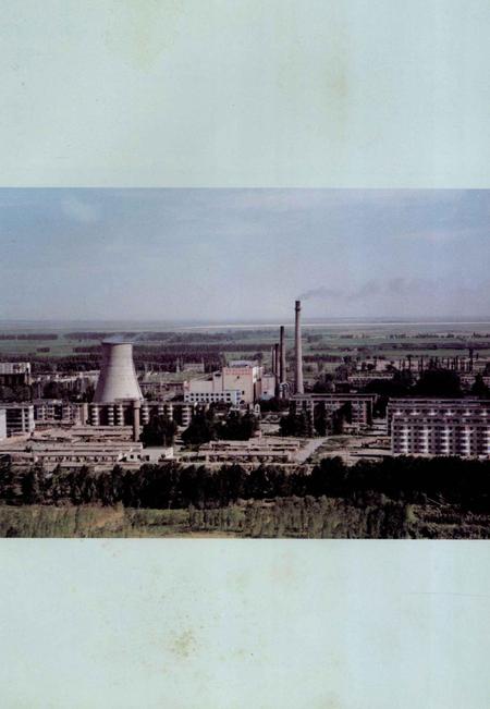 奎屯热电厂志.pdf电子版_新疆维吾尔自治区志插图3