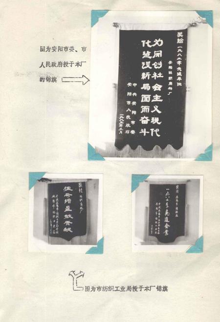 安阳丝织商标厂厂志.pdf电子版_河南省志插图3