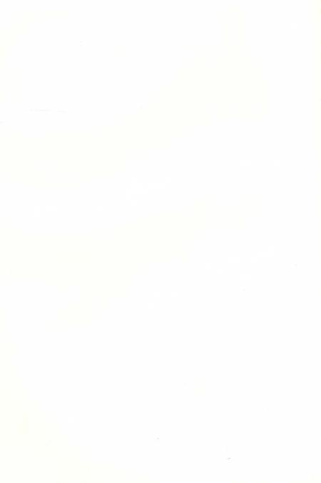 宜章古村落.pdf电子版_湖南省志插图3