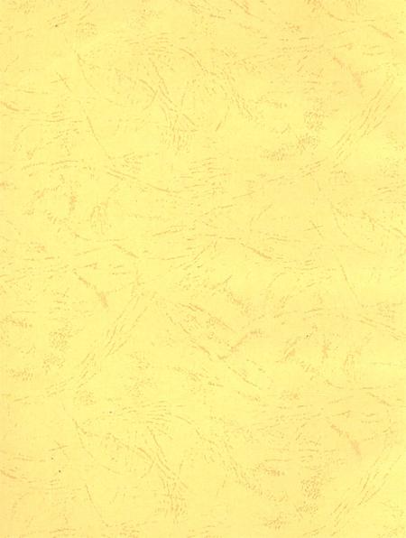 宝丰县政协志（1949～2010年）.pdf电子版_河南省志插图3