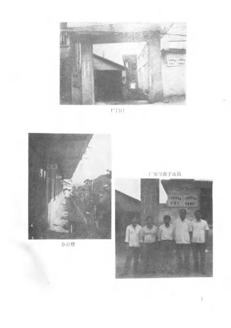 封开县牙签厂志.pdf电子版_广东省志插图3