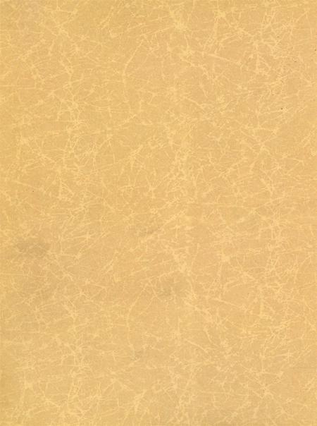 岳阳年鉴（2006）.pdf电子版_四川省志插图3