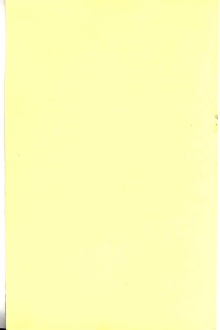 崇岗乡志.pdf电子版_宁夏回族自治区志插图3