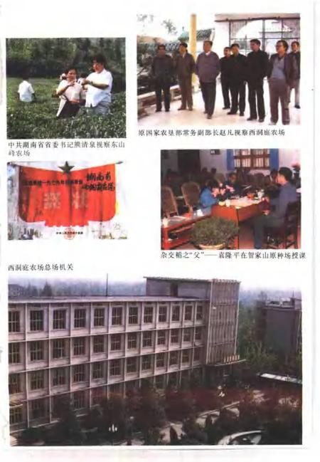 常德地区志  国营农场志.pdf电子版_湖南省志插图3