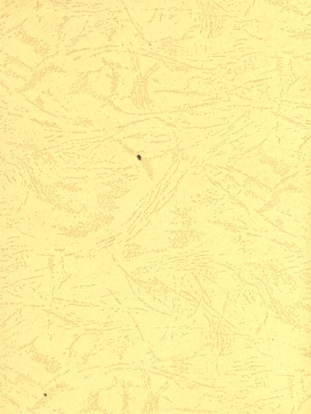 平顶山市精神文明建设年鉴（2006）.pdf电子版_河南省志插图3