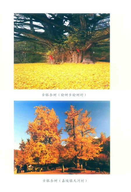 徽县文史资料第39期.pdf电子版_甘肃省志插图3