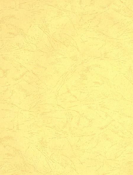 沧州教育年鉴 2009卷.pdf电子版_河北省志插图3