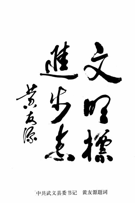 武义县文化志.pdf电子版_浙江省志插图3