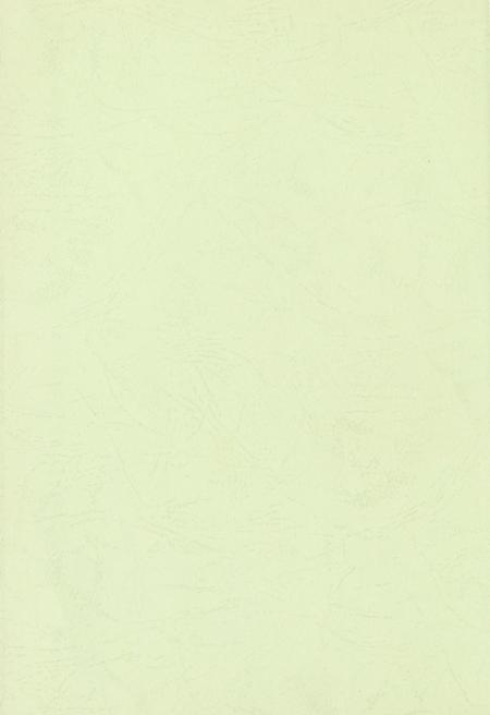 玉环年鉴2007.pdf电子版_浙江省志插图3