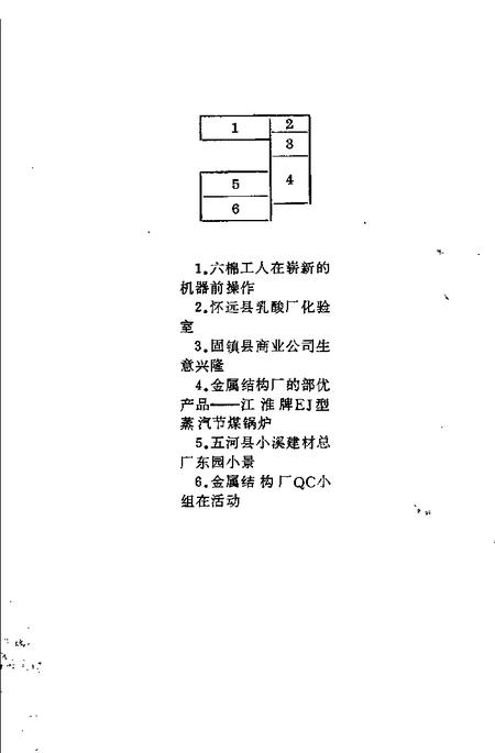 珠城一枝花  崛起的蚌埠乡镇企业.pdf电子版_安徽省志插图3