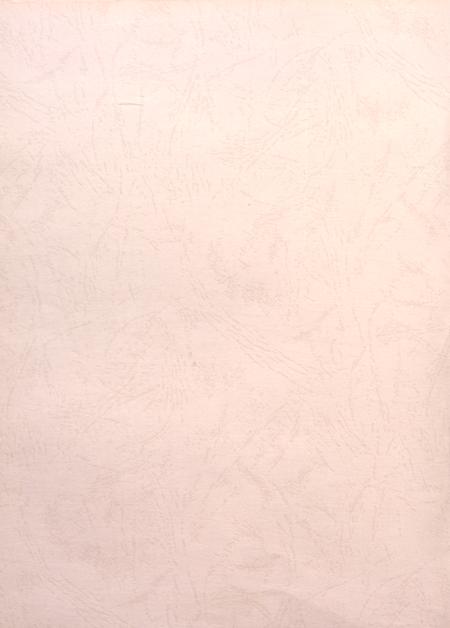 盐城年鉴 2008.pdf电子版_江苏省志插图3