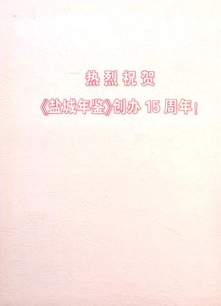 盐城年鉴 2012.pdf电子版_江苏省志插图3