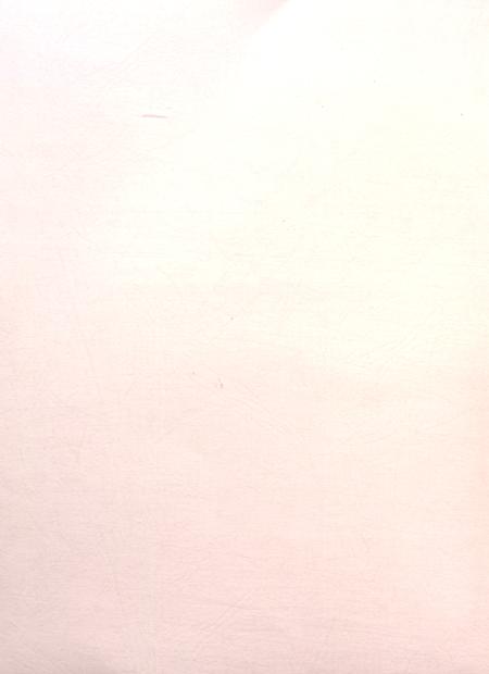 盐城年鉴 2013.pdf电子版_江苏省志插图3