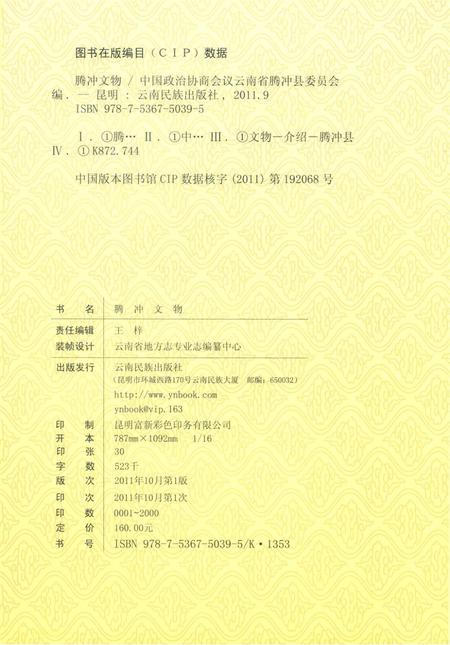 腾冲文物.pdf电子版_云南省志插图3