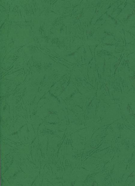 简阳年鉴·2004.pdf电子版_四川省志插图3