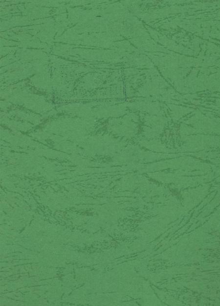 简阳年鉴·2007.pdf电子版_四川省志插图3