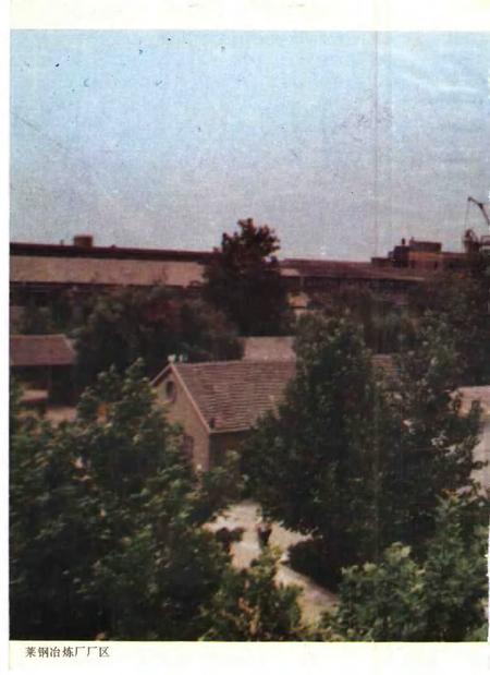 莱钢冶炼厂志  第1卷  1966-1985.pdf电子版_山东省志插图3