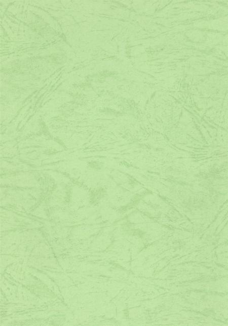 资阳统计年鉴（2000）.pdf电子版_四川省志插图3