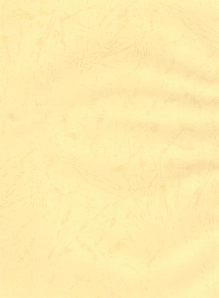 资阳统计年鉴（2005年）.pdf电子版_四川省志插图3