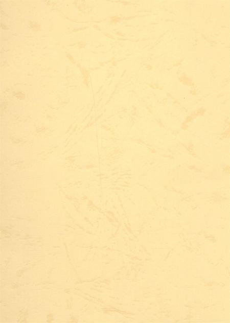 资阳统计年鉴（2006年）.pdf电子版_四川省志插图3