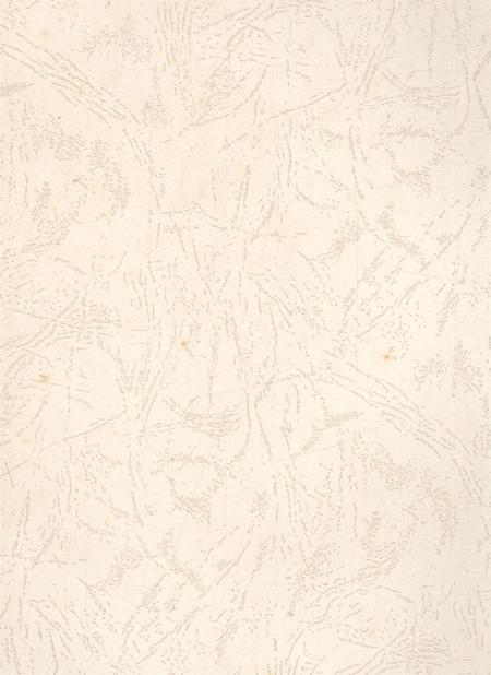 遂宁年鉴（2008年卷）.pdf电子版_四川省志插图3