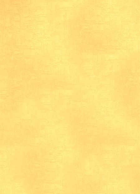 郑州市志（1991-2000）第1分册.pdf电子版_河南省志插图3