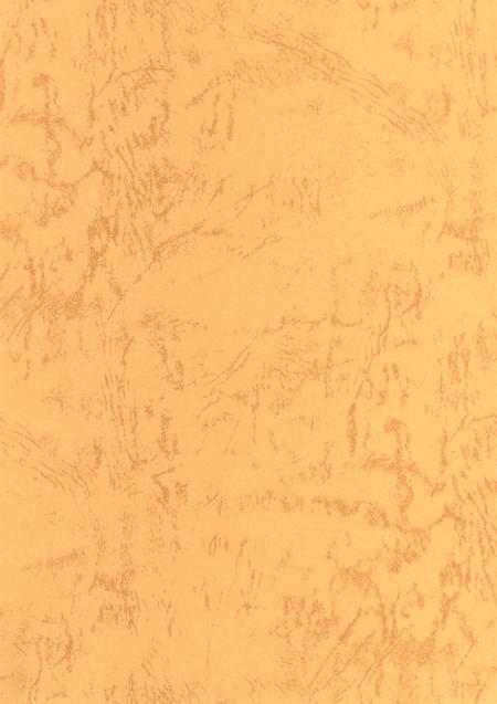 郑州年鉴2001.pdf电子版_四川省志插图3